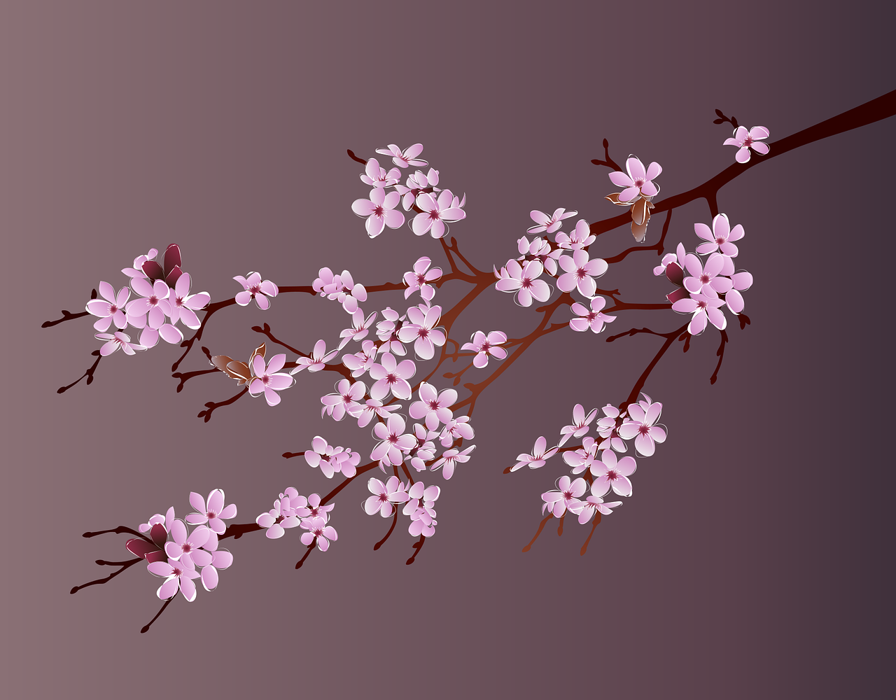 flowers, cherry blossom, sakura-7075450.jpg